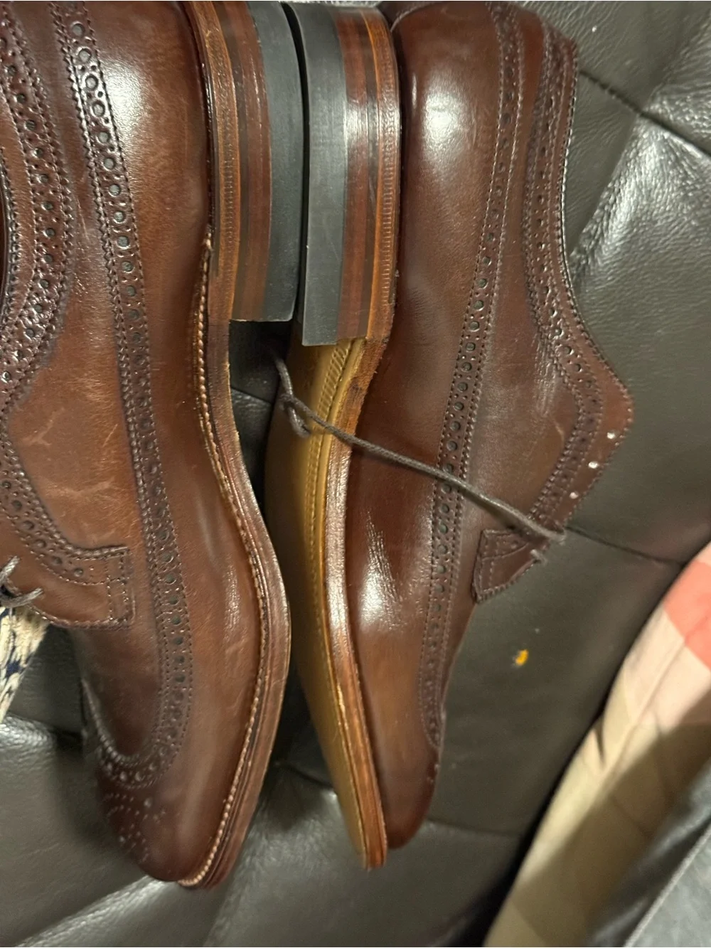 Alden Brown Full Brogue Longwing Oxfords